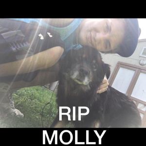 Meet your Posher, Christian wolfie